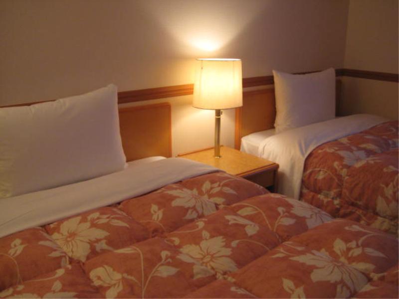 Toyoko Inn Niigata Ekimae Esterno foto